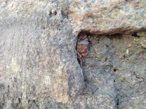 hahabet�ǳ��󺣹ٷ���վ-�����������ͷ