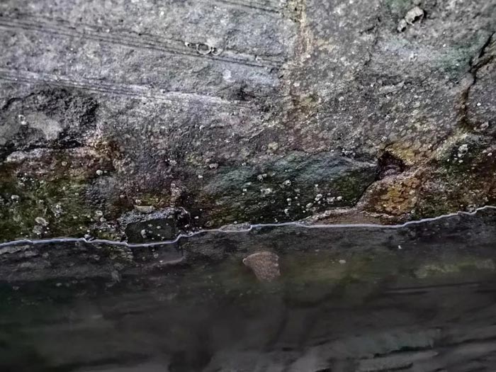 hahabet�ǳ��󺣹ٷ���վ-�����������ͷ