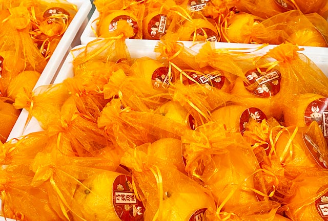 hahabet�ǳ��󺣹ٷ���վ-�����������ͷ